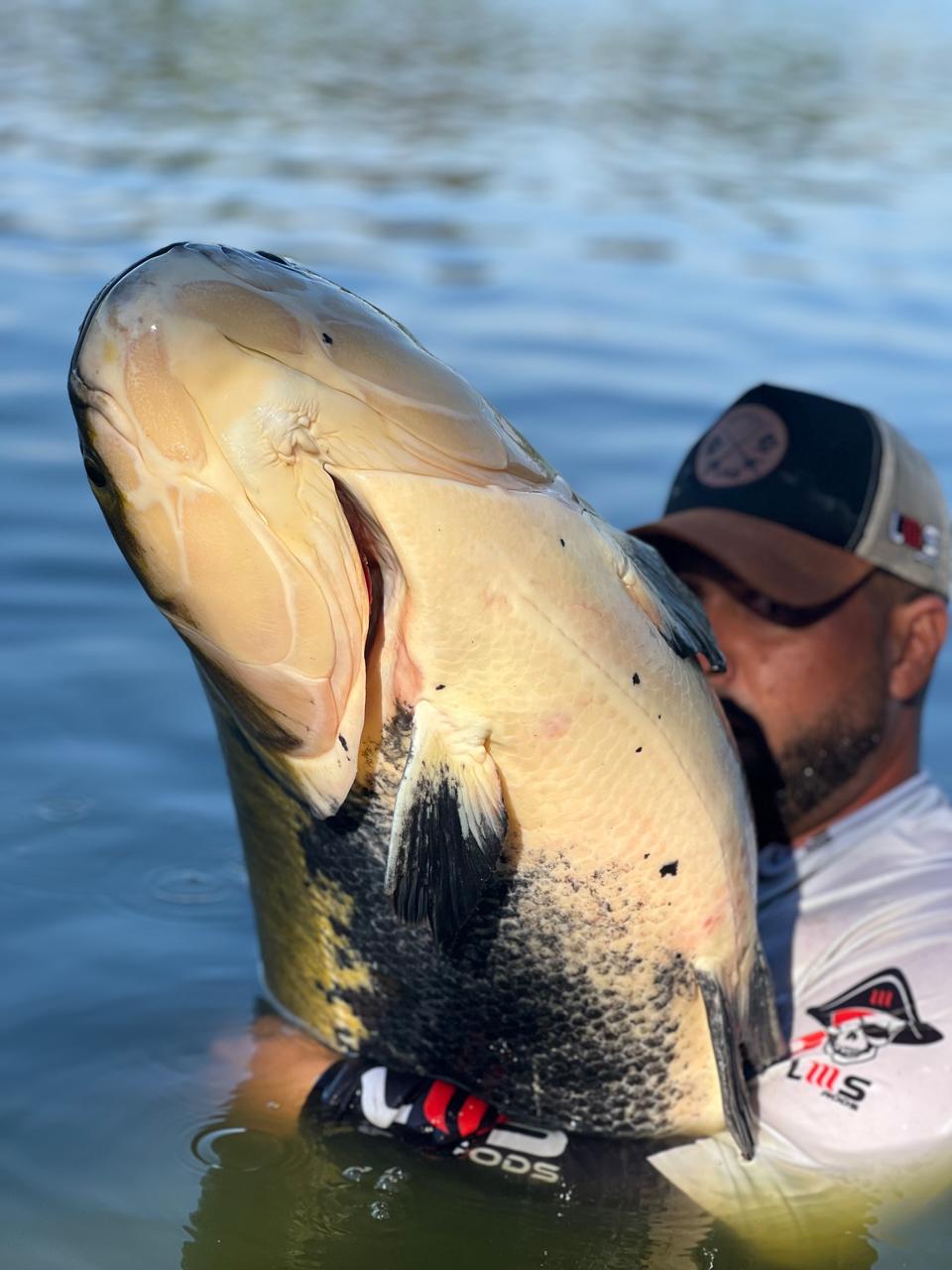 WhatsApp Image 2025-07-28 at 11.18.19 (1)