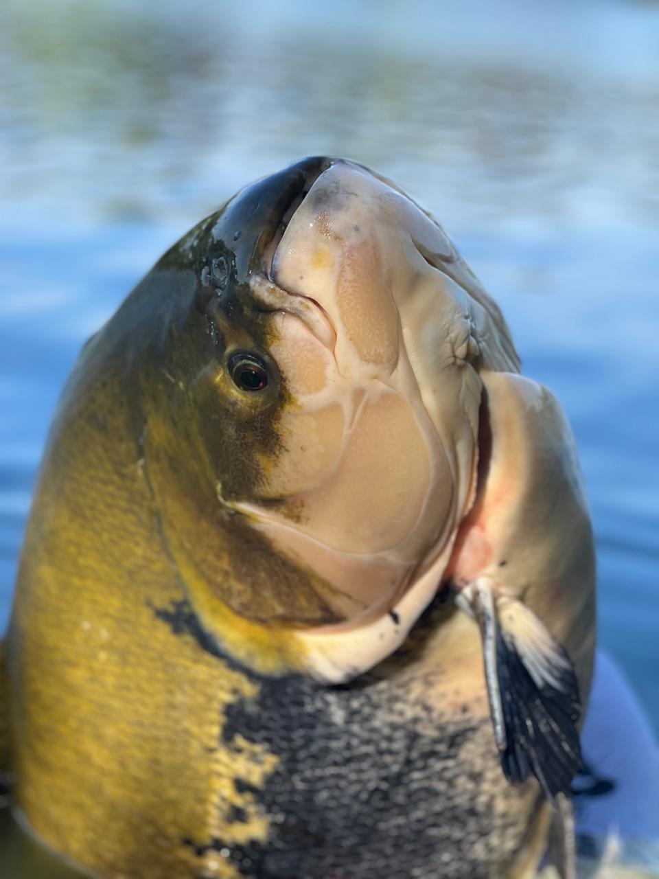 WhatsApp Image 2025-07-28 at 11.18.19 (2)