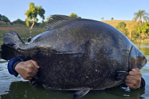 WhatsApp Image 2025-11-03 at 16.34.38