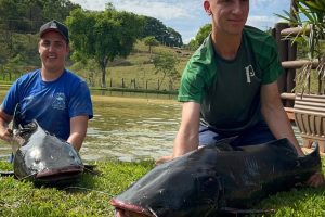 WhatsApp Image 2025-11-03 at 16.34.39 (2)