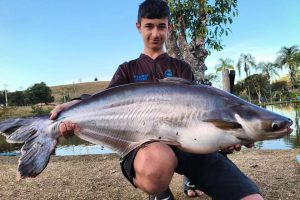 WhatsApp Image 2025-11-03 at 16.34.39 (4)