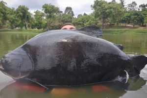 WhatsApp Image 2025-11-03 at 16.34.40 (1)