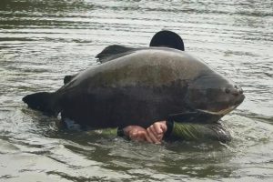 WhatsApp Image 2025-11-03 at 16.34.40 (3)